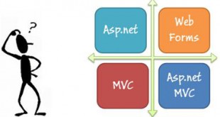 ASP.Net Web Forms, ASP.Net MVC, NG srl, C#